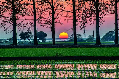 風景 jigsaw puzzle