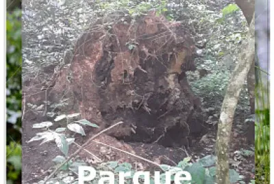 Imagem de caveira no Parque