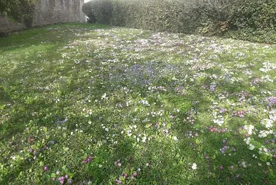 Printemps Hauts de Seine