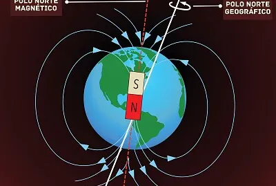 1ro. Básico Ciencias Naturales
