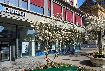 Neuchâtel Magnolia