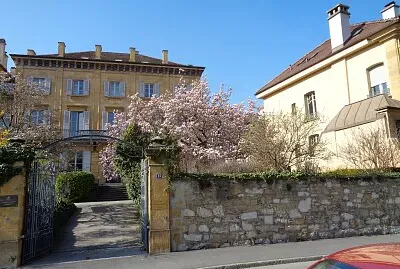 Neuchâtel magnolia 2