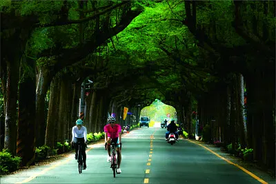 風景 jigsaw puzzle