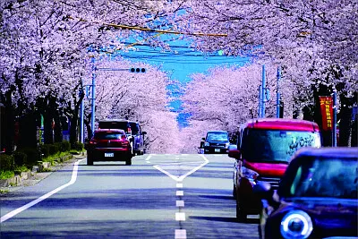 風景 jigsaw puzzle