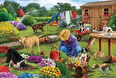 פאזל של General