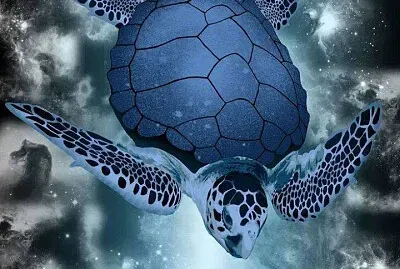animaux