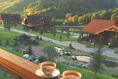 tazas