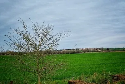 campagne