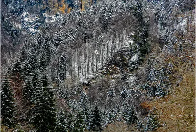 lessinia,Verona