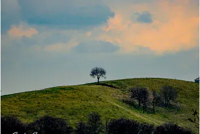 lessinia,Verona