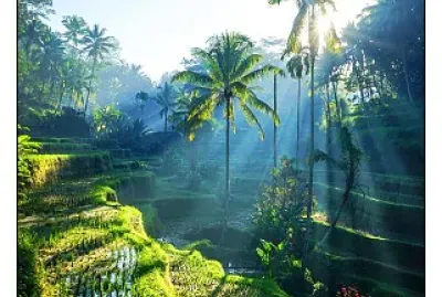 paysage