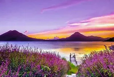 paysage