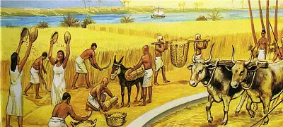 פאזל של SaudeColetiva1