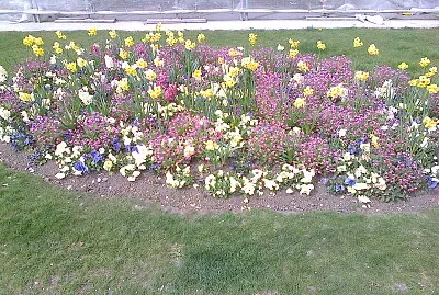 Neuchâtel quais fleuris 2