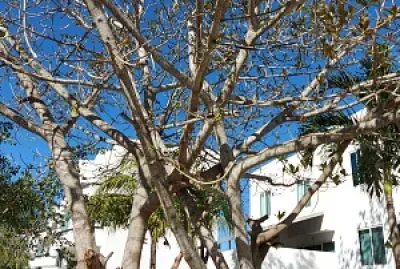 פאזל של SUPER MATHY