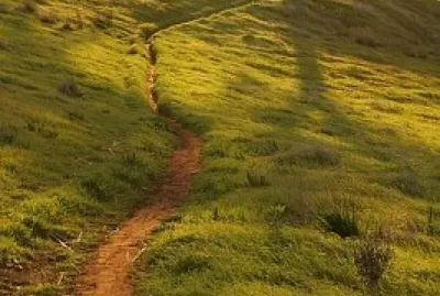 camino
