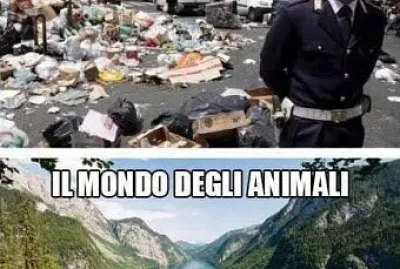 פאזל של CHE MONDO!