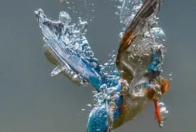 פאזל של MARTINO... il PESCATORE