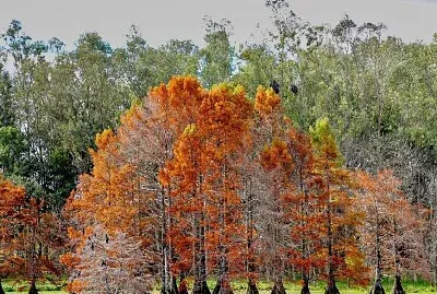 Otoño