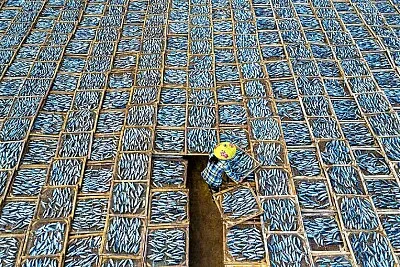 very fishy
