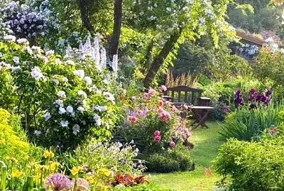 paysage jigsaw puzzle