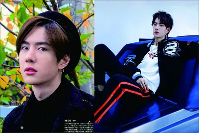 Chinese actor Wang Yibo jigsaw puzzle