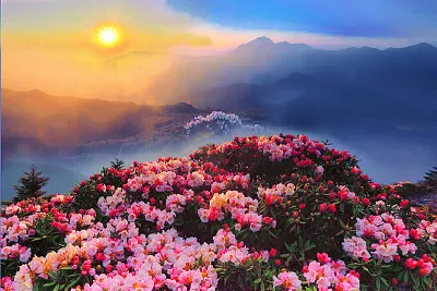 風景
