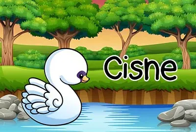 lectura Preparatoria