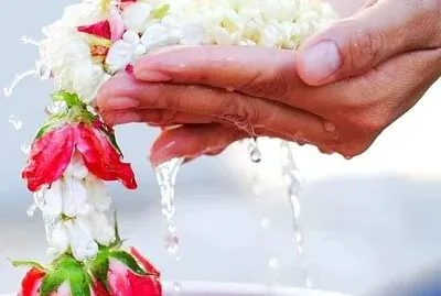 פאזל של imagem