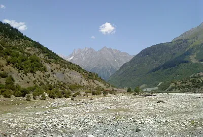 svani