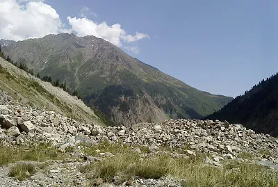 svani