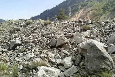 svani