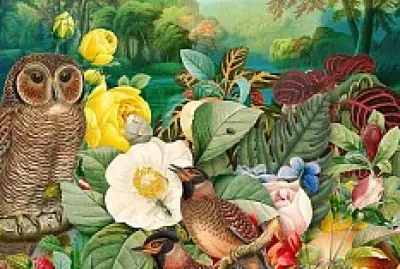 פאזל של art peinture