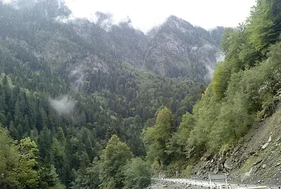 svani