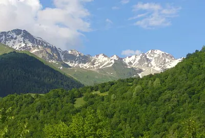 svani