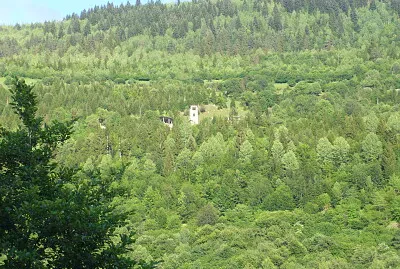 svani