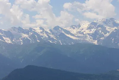 svani