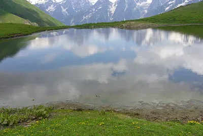 svani