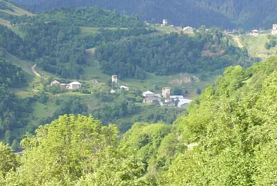 svani