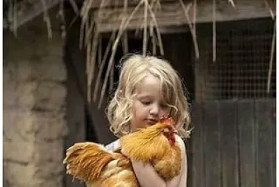 persona jigsaw puzzle