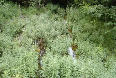 small woterfall shatili