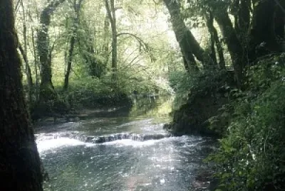 פאזל של Rivière Lot