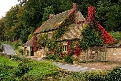 imagem jigsaw puzzle