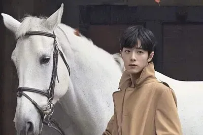 פאזל של Chinese actor  Xiao Zhan