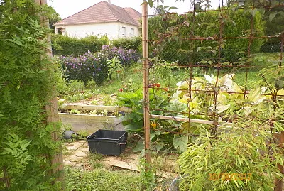 jardin
