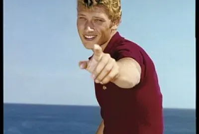 פאזל של Johnny Hallyday