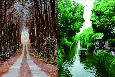 פאזל של 風景