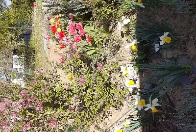 jardin
