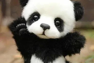 Un lindo panda bebe
