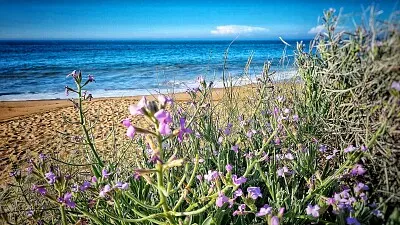 Plage